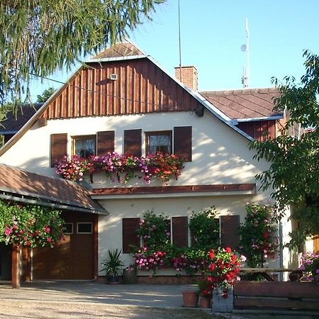 Pension Ivanka Jestrabi V Krkonosich Exterior foto